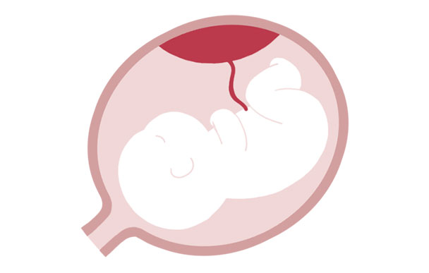 9：子宮の中で赤ちゃんが成長