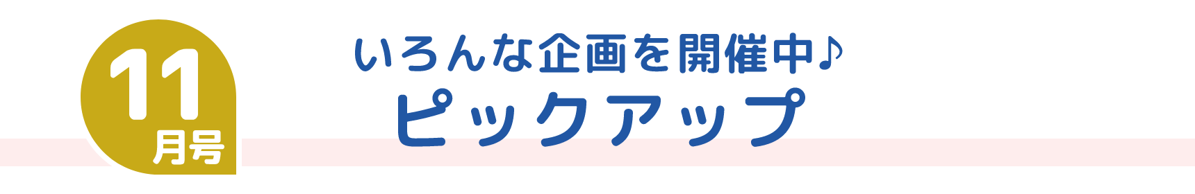 11月号 いろんな企画を開催中♪ ピックアップ