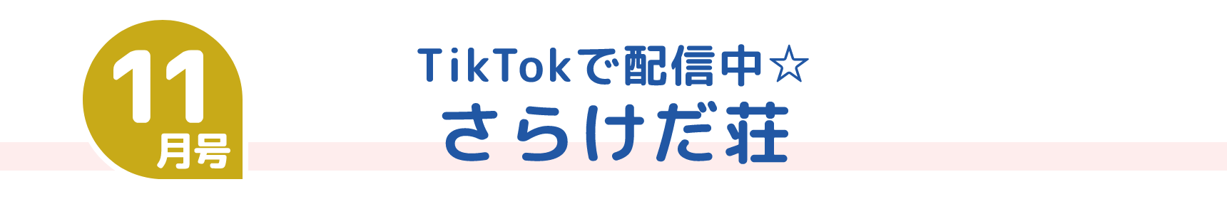 11月号 TikTokで配信中☆ さらけだ荘