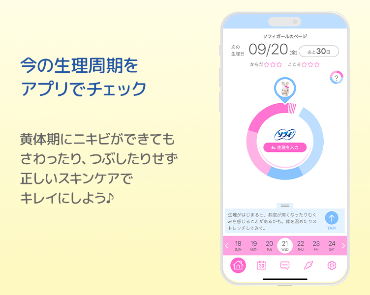 TipsA-2_5コマ目_202604