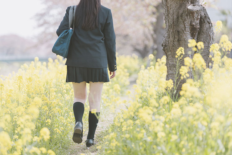 菜の花咲く道を歩く後姿の制服の女の子